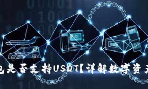 比太冷钱包是否支持USDT？详解数字资产安全存储